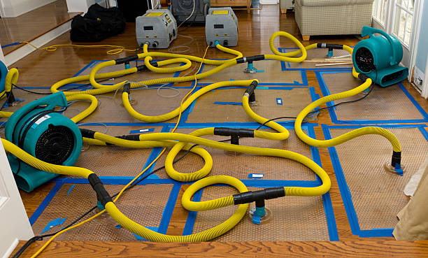 Professional Sewage Cleanup technician working in Englewood, FL